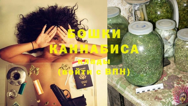 прущие грибы Ельня