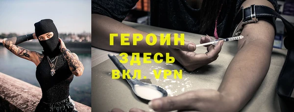 прущие грибы Ельня