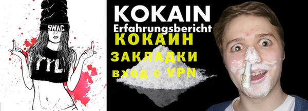 прущие грибы Ельня