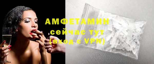 прущие грибы Ельня