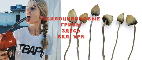 спиды Елабуга
