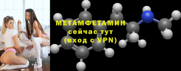 прущие грибы Ельня
