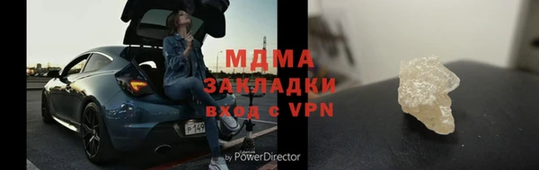 прущие грибы Ельня