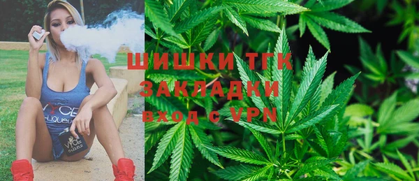 МДПВ Елизово