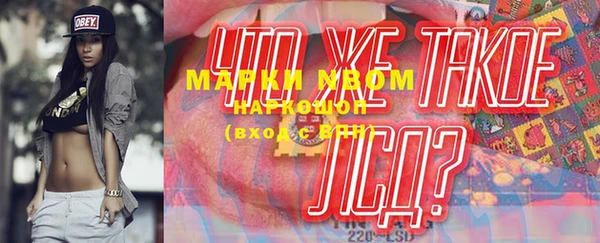 прущие грибы Ельня