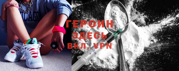 прущие грибы Ельня