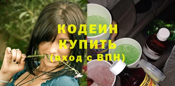 прущие грибы Ельня