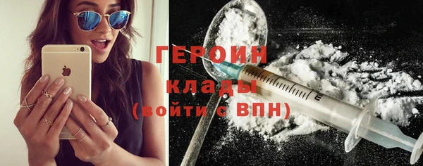 прущие грибы Ельня