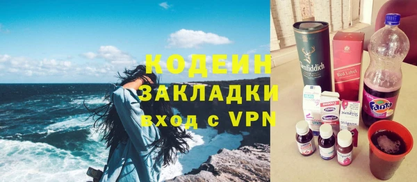 прущие грибы Ельня
