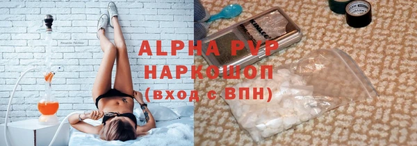 прущие грибы Ельня