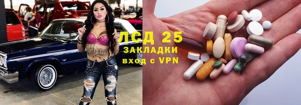 прущие грибы Ельня